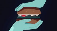 poster-30994-followfood-in-your-hands-236x132