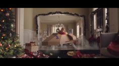 poster-31028-fedex-gift-box-236x132