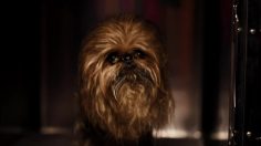 poster-31031-samsung-galaxy-note-10-connect-your-galaxy-this-holiday-236x132