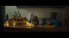 poster-31044-migros-la-chouette-mimi-apprend-a-voler-236x132