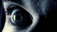 poster-31045-australian-museum-can-you-solve-the-mystery-236x132