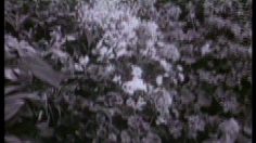 poster-31051-ricard-un-air-de-vacances-236x132