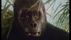 poster-31061-ricard-king-kong-236x132