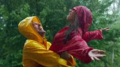 poster-31070-pornhub-lifeplan-236x132