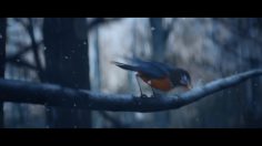 poster-31074-new-york-lottery-red-riches-special-delivery-236x132