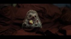 poster-31150-staatsloterij-freddie-236x132