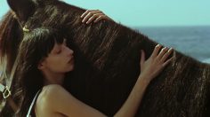 poster-31202-gucci-gucci-of-course-a-horse-236x132