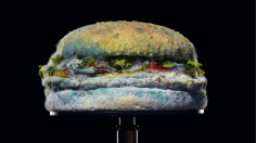 Sans-titre-1-1-236x132