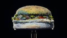 poster-31269-burger-king-the-moldy-whopper-236x132