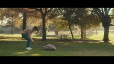 poster-31273-milk-bone-tortoise-fetch-236x132