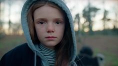 poster-31276-sas-scandinavian-airlines-what-is-truly-scandinavian-236x132