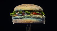 poster-31277-ovni-thai-et-burger-moisi-2020-02-20-236x132