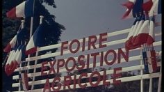 poster-31286-arthur-martin-foire-agricole-236x132