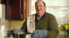 poster-31307-bush-s-beans-brian-baumgartner-236x132