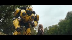 poster-31323-direct-line-insurance-bumblebee-236x132