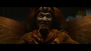 poster-31333-insectes-thai-musee-russe-et-coronavirus-2020-03-12-300x168