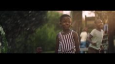 poster-31342-vickss-where-joy-lives-236x132