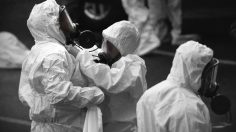 poster-31367-budweiser-one-team-236x132