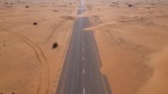 poster-31375-confinement-et-clonage-numerique-2020-04-02-236x132