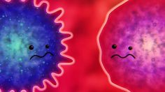 poster-31385-vision-thing-covid-19-spreader-stories-backpacker-party-236x132