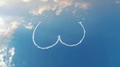 poster-31402-channel-4-important-safety-announcement-for-your-arse-236x132