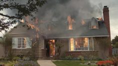 poster-31410-fridays-for-future-our-house-is-on-fire-236x132