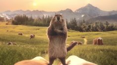 poster-31439-milka-confinement-236x132