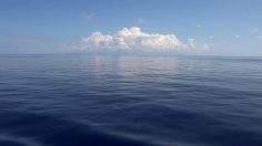 poster-31458-decathlon-le-monde-est-notre-terrain-de-jeu-236x132