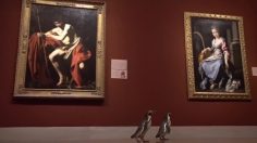 poster-31480-the-nelson-atkins-museum-of-art-penguins-236x132
