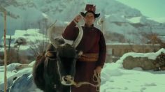 poster-31496-budvar-33-236x132