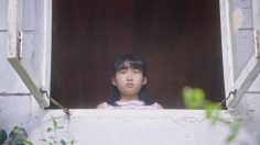 poster-31505-scg-home-window-with-the-view-236x132