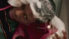 poster-31526-starburst-swirlers-vertical-salon-236x132