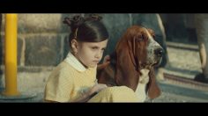 poster-31543-rohlik-cz-no-smile-land-236x132