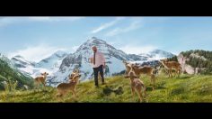 64608_preview-236x132