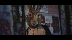 64617_preview-236x132