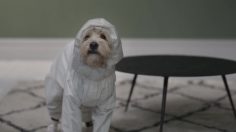 64626_005_preview-236x132