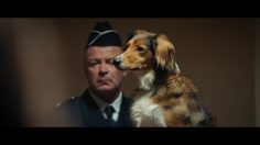 64644_preview-236x132