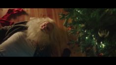 64746_preview-236x132