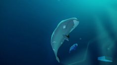 Capture-d’écran-2021-02-24-120126-236x132