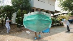 Capture-d’écran-2021-04-13-113441-236x132