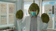 Capture-d’écran-2021-04-13-115451-236x132