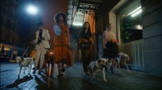 Capture-d’écran-2021-04-19-162806-236x132