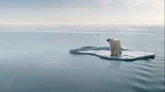 Capture-d’écran-2021-04-21-125140-236x132