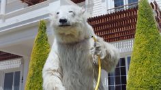 Capture-d’écran-2021-04-29-142532-236x132