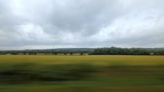 Capture-d’écran-2021-05-06-113343-236x132