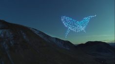 Capture-d’écran-2021-06-16-111959-236x132