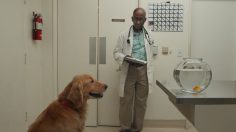 Capture-d’écran-2021-07-06-121555-236x132