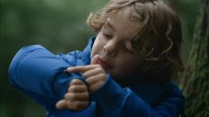 Capture-d’écran-2021-08-24-145058-236x132