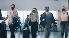 Capture-d’écran-2021-10-08-110107-236x132