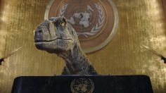 Capture-d’écran-2021-10-27-144117-236x132